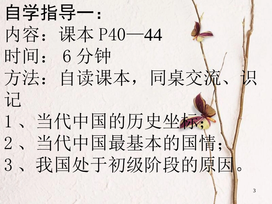 九年级政治全册 第一单元 世界大舞台 第三课 中国的道路课件 人民版_第3页