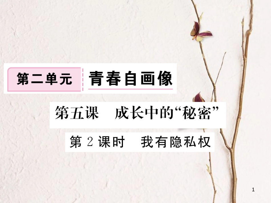八年级道德与法治上册 第二单元 青春自画像 第五课 成长的“秘密”第2框《我有隐私权》习题课件 人民版_第1页
