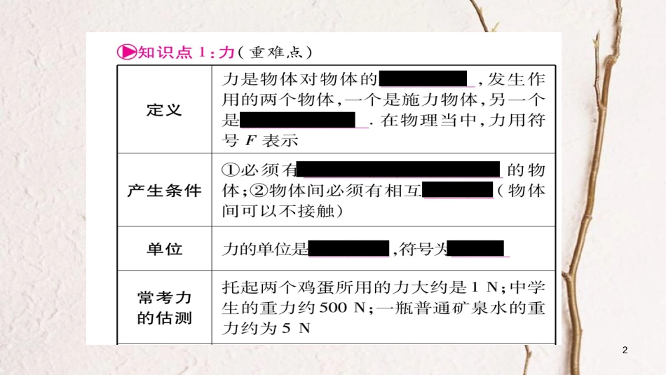 （云南专版）中考物理总复习 第7讲 力课件_第2页