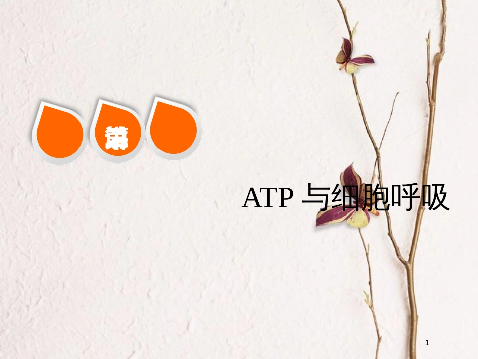 2019版高考生物一轮复习 第三单元 细胞的能量供应和利用 第二讲 ATP与细胞呼吸精选课件_第1页