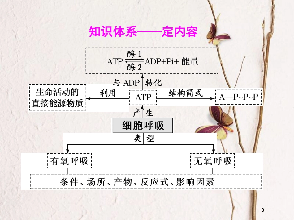2019版高考生物一轮复习 第三单元 细胞的能量供应和利用 第二讲 ATP与细胞呼吸精选课件_第3页