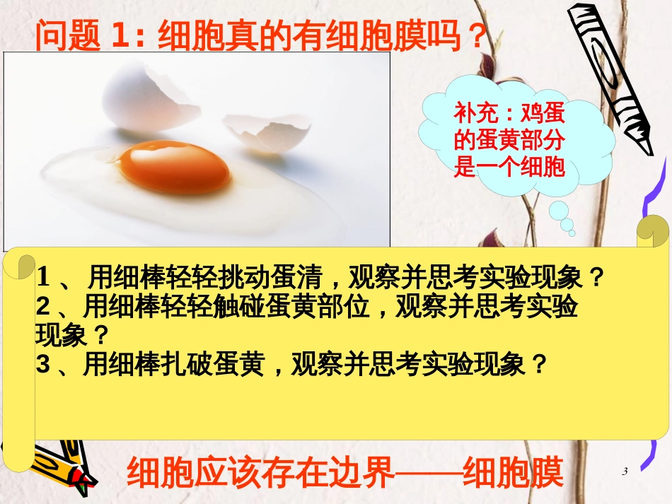 安徽省涡阳县高中生物 第三章 细胞的基本结构 3.1 细胞膜—系统的边界1课件 新人教版必修1_第3页