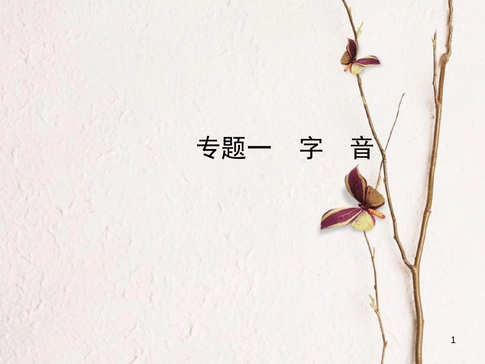 （济南专版）中考语文总复习 专题一 字音课件_第1页
