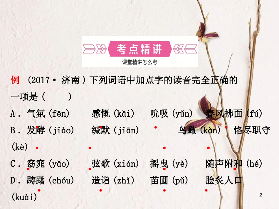 （济南专版）中考语文总复习 专题一 字音课件_第2页
