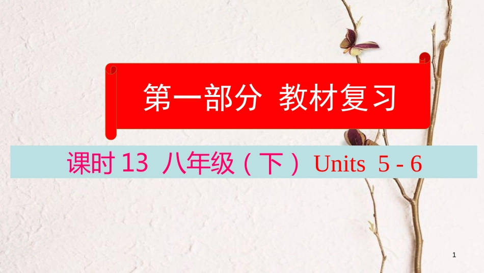 云南省中考英语学业水平精准复习方案 第一部分 教材复习 课时13 八下 Units 5-6课件_第1页