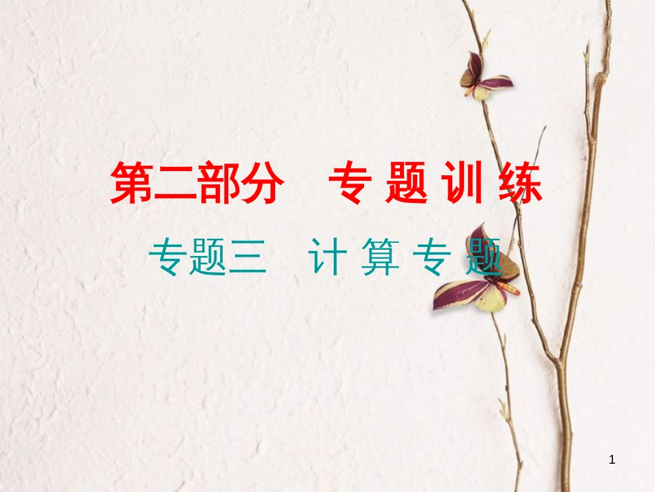 广东省中考物理总复习 第二部分 专题训练 专题三 计算课后作业课件_第1页