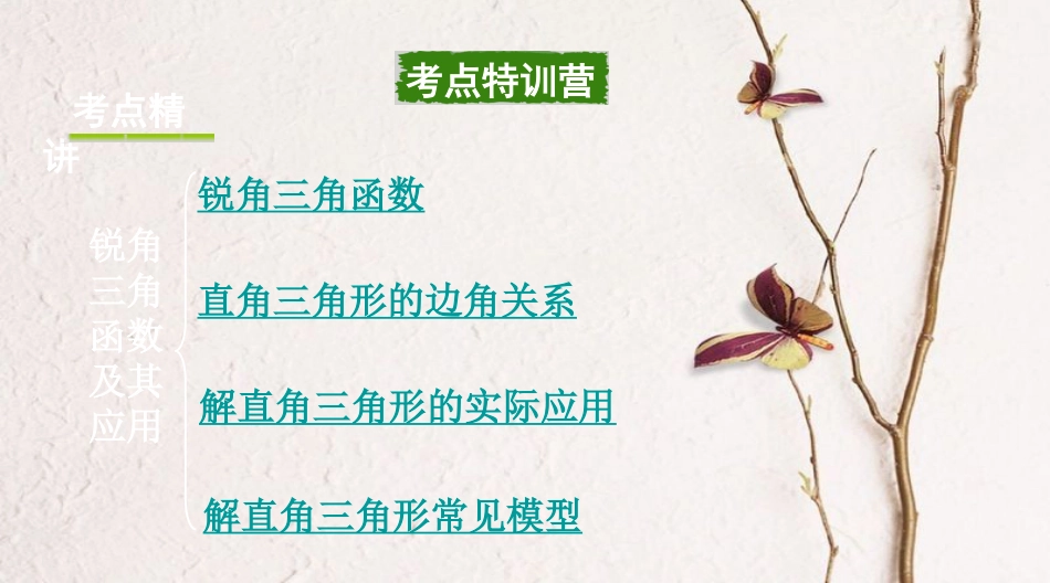 浙江省中考数学复习第一部分考点研究第四单元三角形第22课时锐角三角函数及其应用课件_第2页