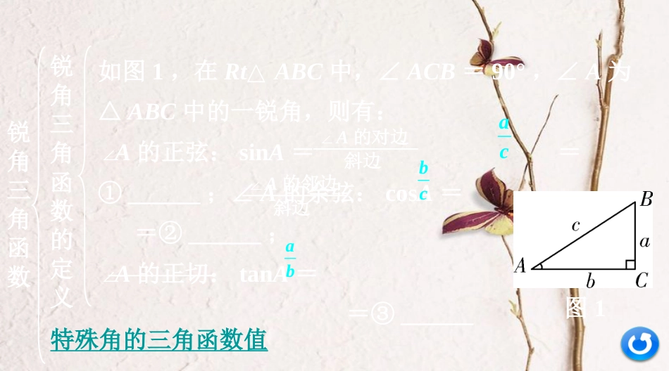 浙江省中考数学复习第一部分考点研究第四单元三角形第22课时锐角三角函数及其应用课件_第3页