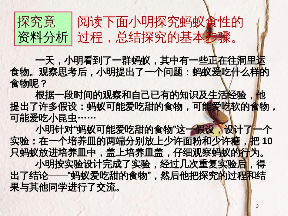 （江西专版）中考生物总复习 第一单元 探究能力 学习探究课件_第3页