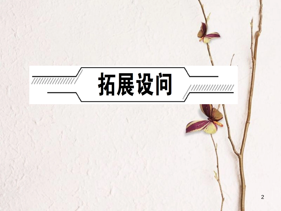 （福建专版）中考历史总复习 专题二 侵略与反抗课件_第2页
