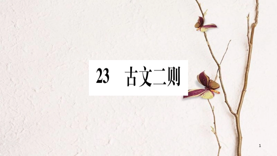 （玉林专版）七年级语文下册 第六单元 23 古文二则习题课件 语文版_第1页