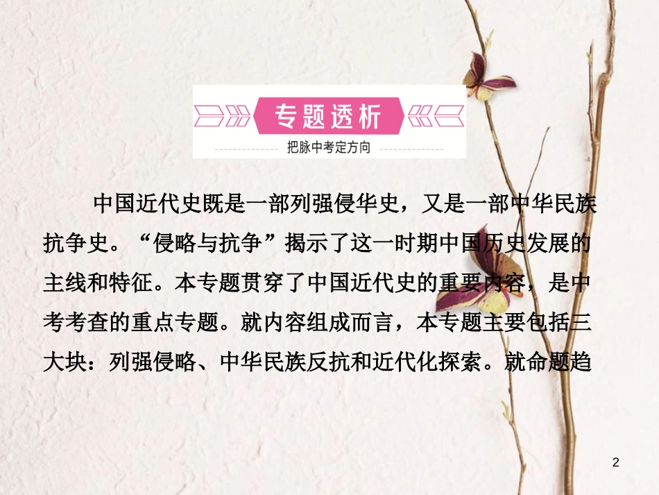山东省滨州市中考历史复习 专题三 近代西方列强的侵略和中华民族的抗争与探索课件_第2页