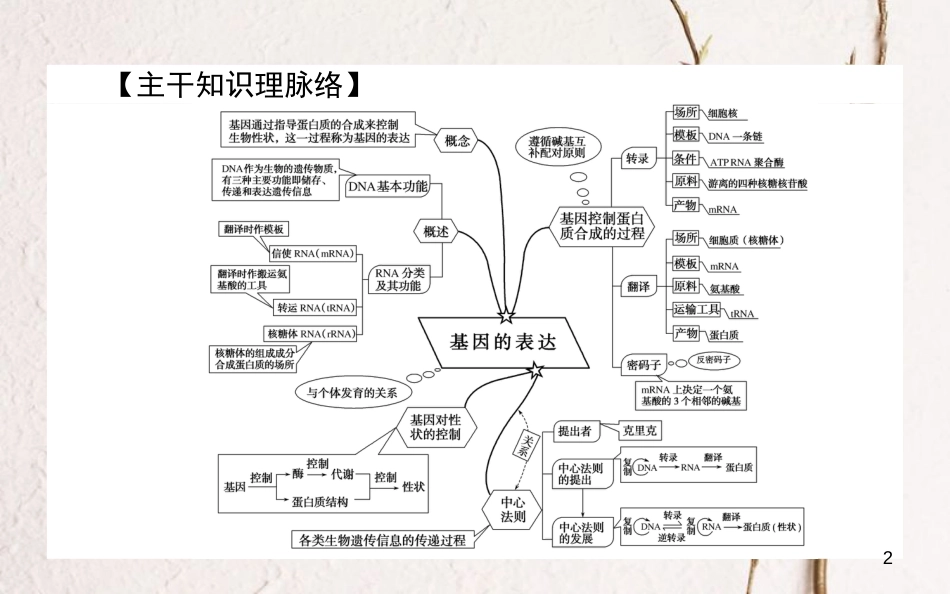 高中生物 第4章 基因的表达单元排查强化课件 新人教版必修2_第2页