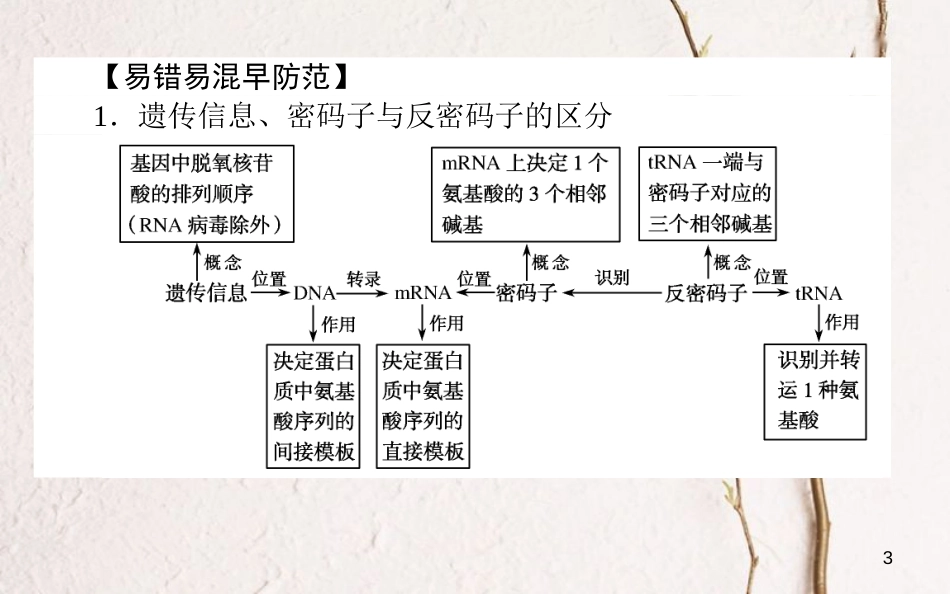 高中生物 第4章 基因的表达单元排查强化课件 新人教版必修2_第3页