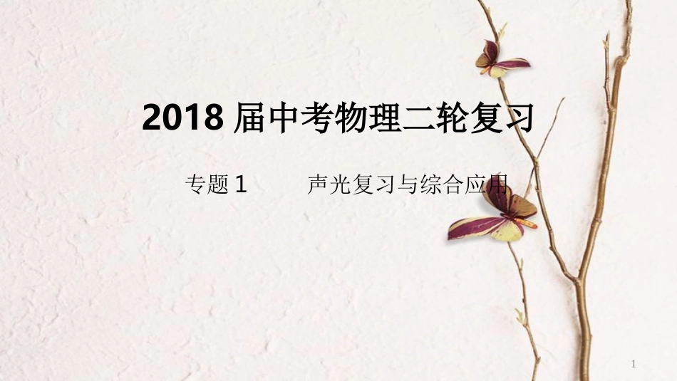 北京市中考物理二轮复习 专题突破1 声光复习与综合应用课件_第1页