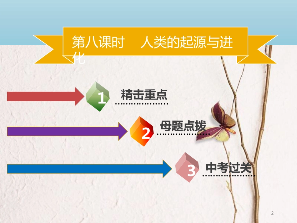 广东省中考生物 模块四 生物圈中的人 第八课时 人类的起源与进化课件_第2页