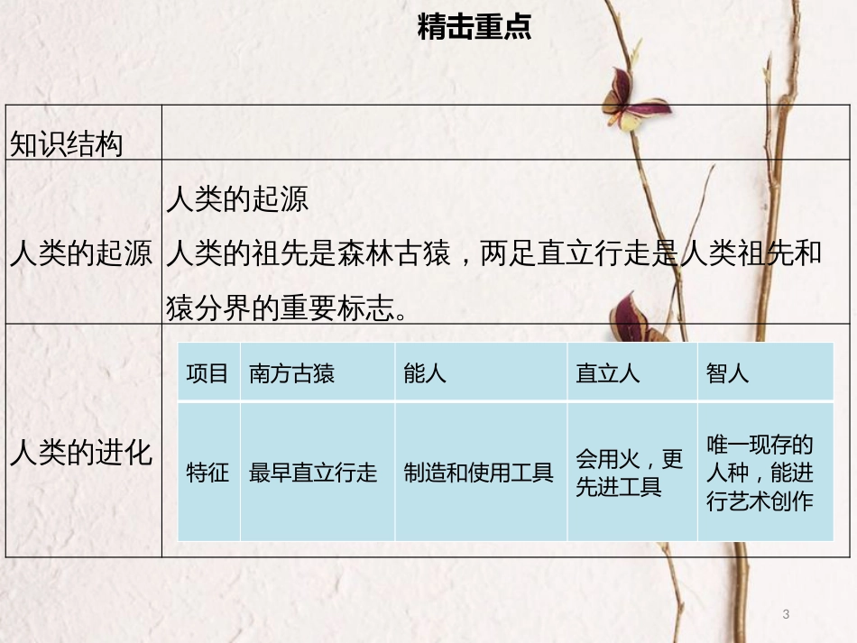 广东省中考生物 模块四 生物圈中的人 第八课时 人类的起源与进化课件_第3页
