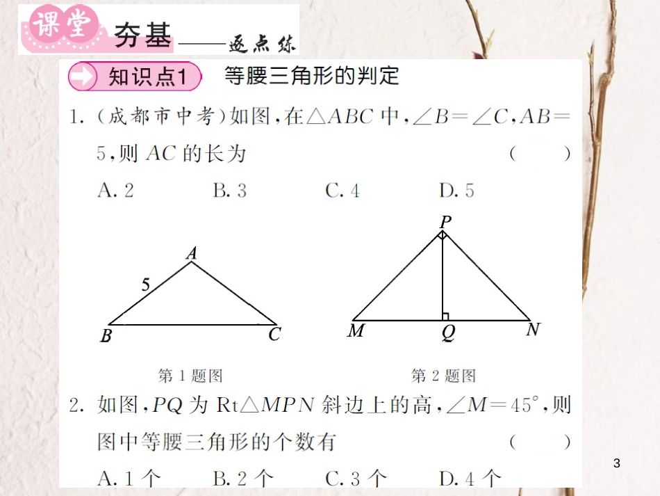 八年级数学上册 第2章 三角形 2.3 等腰三角形 第2课时 等腰三角形的判定习题课件 （新版）湘教版_第3页