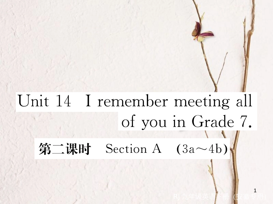 （安徽专版）九年级英语全册 Unit 14 I remember meeting all of you in Grade 7（第2课时）习题课件 （新版）人教新目标版_第1页