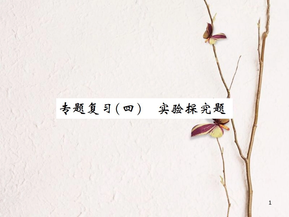 九年级化学下册 专题复习(四)实验探究题课件 (新版)新人教版_第1页