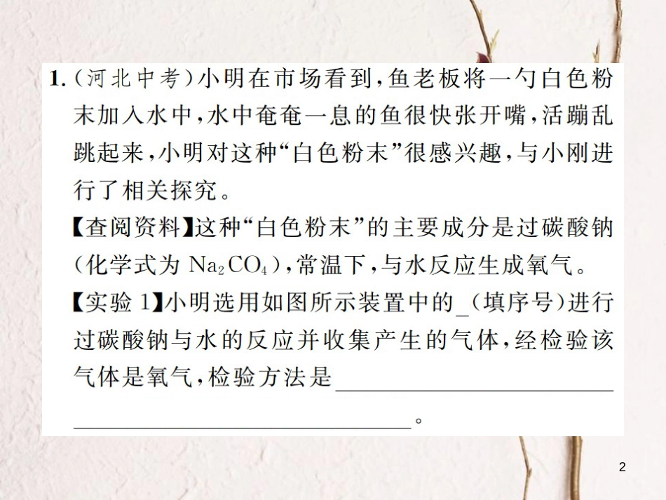 九年级化学下册 专题复习(四)实验探究题课件 (新版)新人教版_第2页