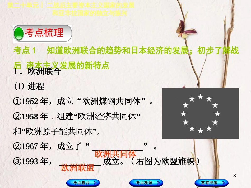 （包头专版）中考历史复习 第五部分 世界现代史 第二十单元 二战后主要资本主义国家的发展和亚非拉国家的独立与振兴课件_第3页