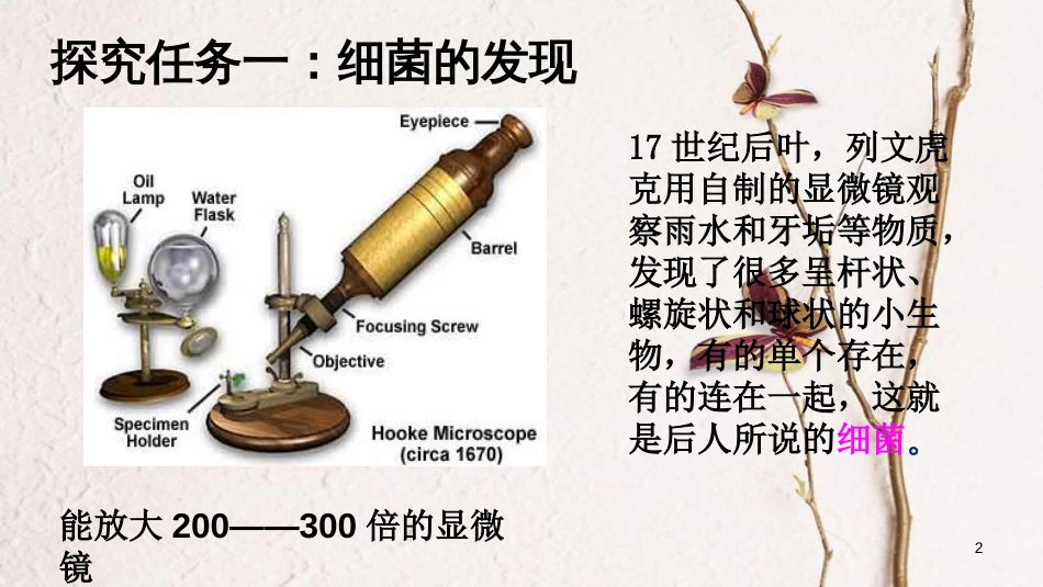 八年级生物上册 第五单元 第四章 第二节《细菌》课件 （新版）新人教版_第2页