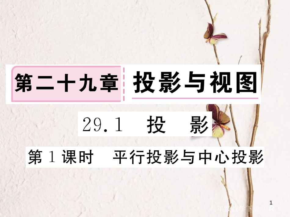 （安徽专版）九年级数学下册 第二十九章 投影与视图 29.1 第1课时 平行投影与中心投影练习课件 （新版）新人教版_第1页