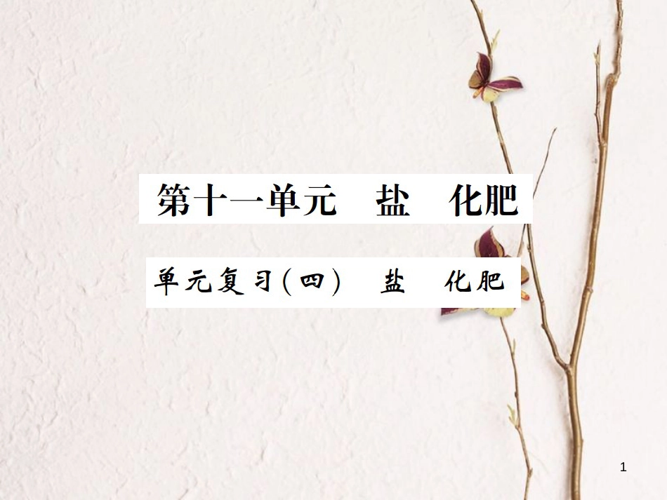 九年级化学下册 11 盐 化肥 单元复习（四）盐 化肥习题课件 （新版）新人教版_第1页