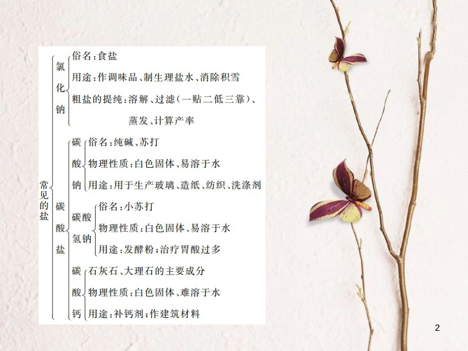 九年级化学下册 11 盐 化肥 单元复习（四）盐 化肥习题课件 （新版）新人教版_第2页