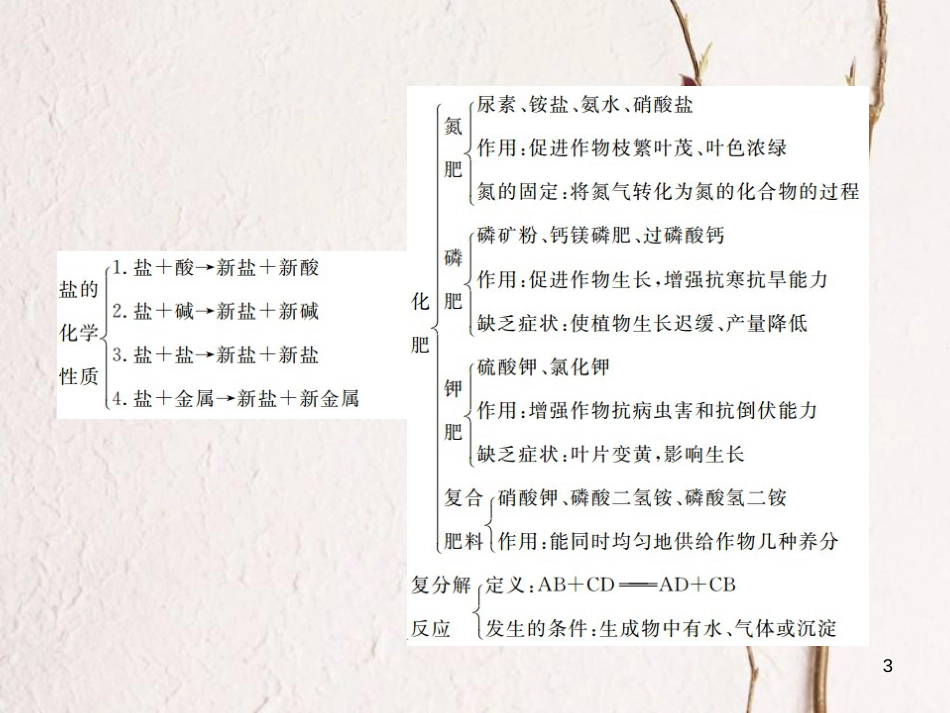 九年级化学下册 11 盐 化肥 单元复习（四）盐 化肥习题课件 （新版）新人教版_第3页