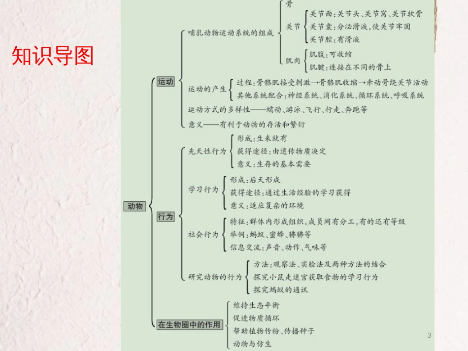 广东省中考生物 第五单元 生物圈中的其它生物 第二章 第三章 动物的运动 动物在生物圈中的作用课件_第3页