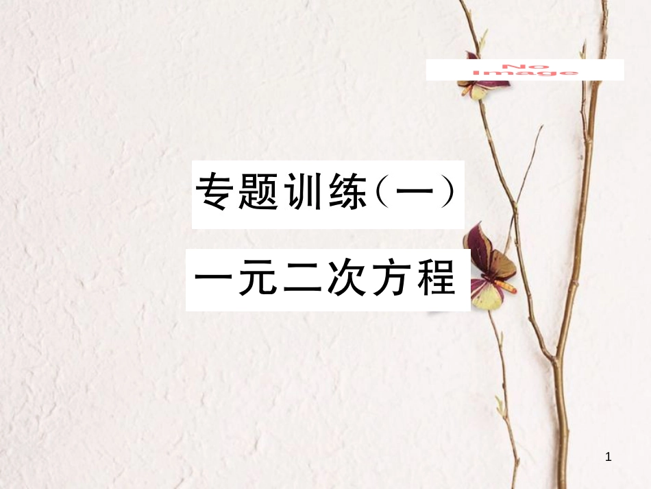 九年级数学下册 专题训练1 一元二次方程作业课件 （新版）北师大版_第1页