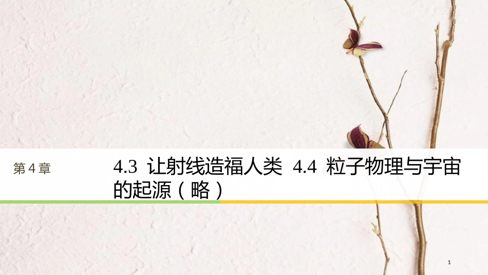 高中物理 第4章 从原子核到夸克 4.3 让射线造福人类 4.4 粒子物理与宇宙的起源（略）课件 沪科版选修3-5_第1页