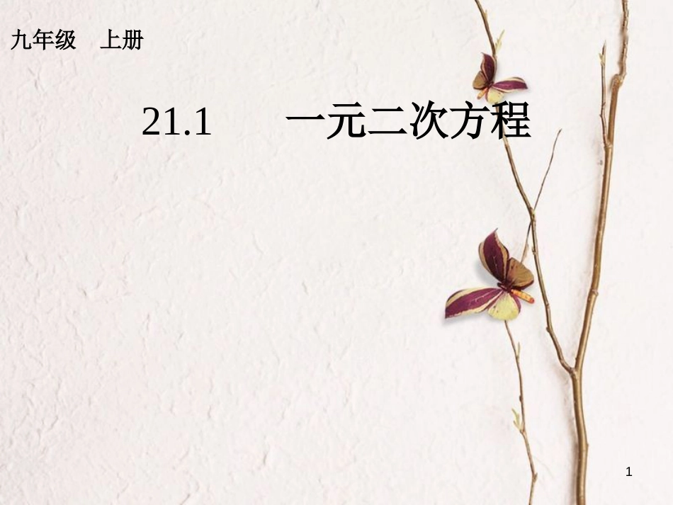 内蒙古鄂尔多斯市康巴什新区九年级数学上册 第21章 一元二次方程 21.1 一元二次方程课件 （新版）新人教版_第1页