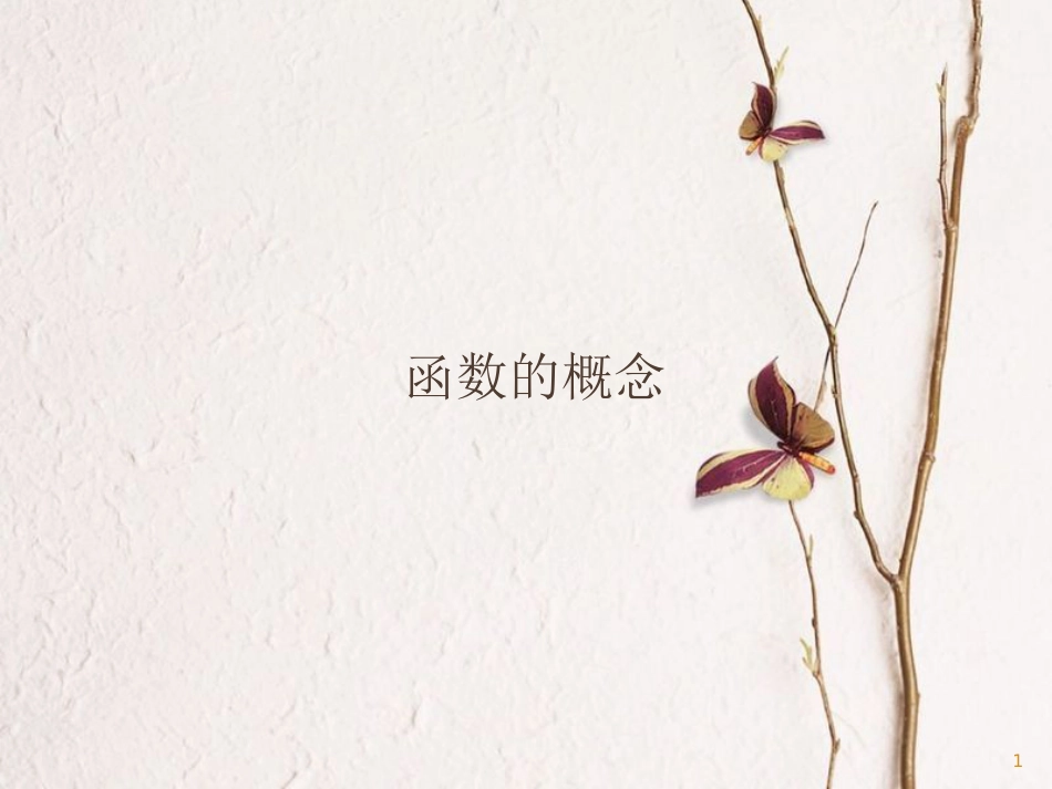 山西省忻州市高考数学 专题 函数概念2复习课件_第1页