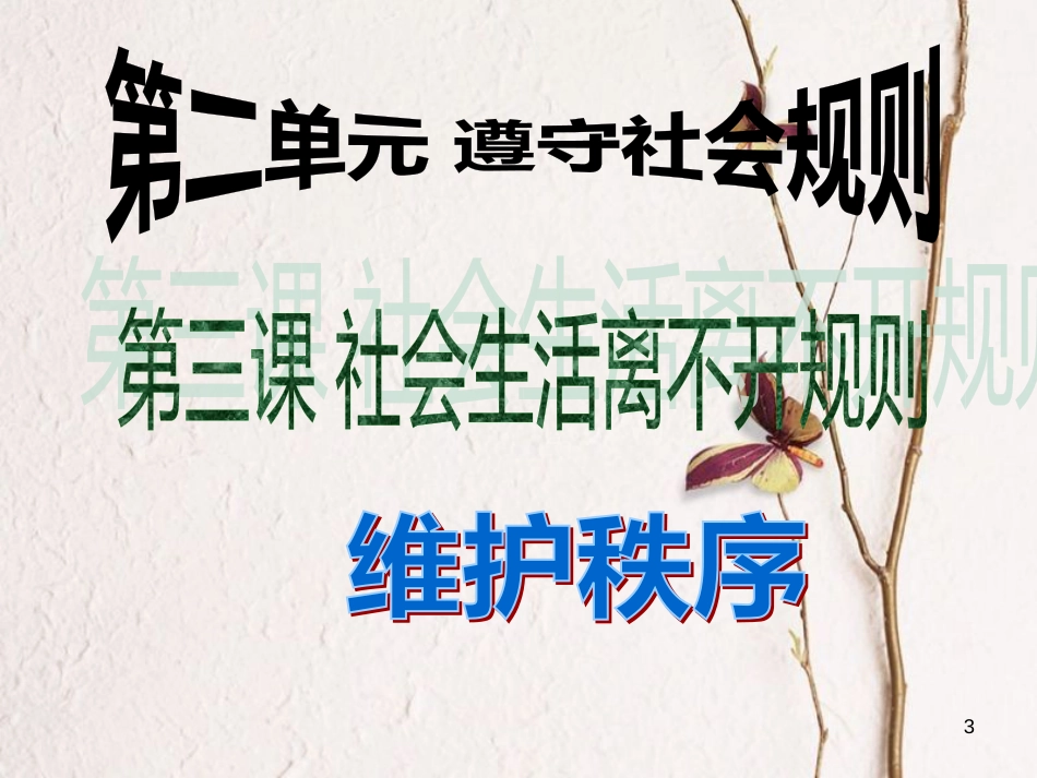 八年级道德与法上册 第二单元 遵守社会规则 第三课 社会生活离不开规则 第1框 维护秩序课件 新人教版_第3页