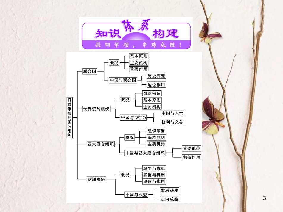 高中政治 专题五 日益重要的国际组织专题小结课件 新人教版选修3_第3页