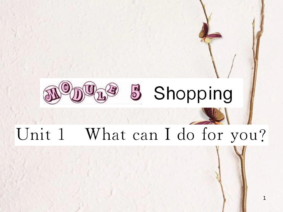 七年级英语下册 Module 5 Shopping Unit 1 What can I do for you作业课件 （新版）外研版_第1页