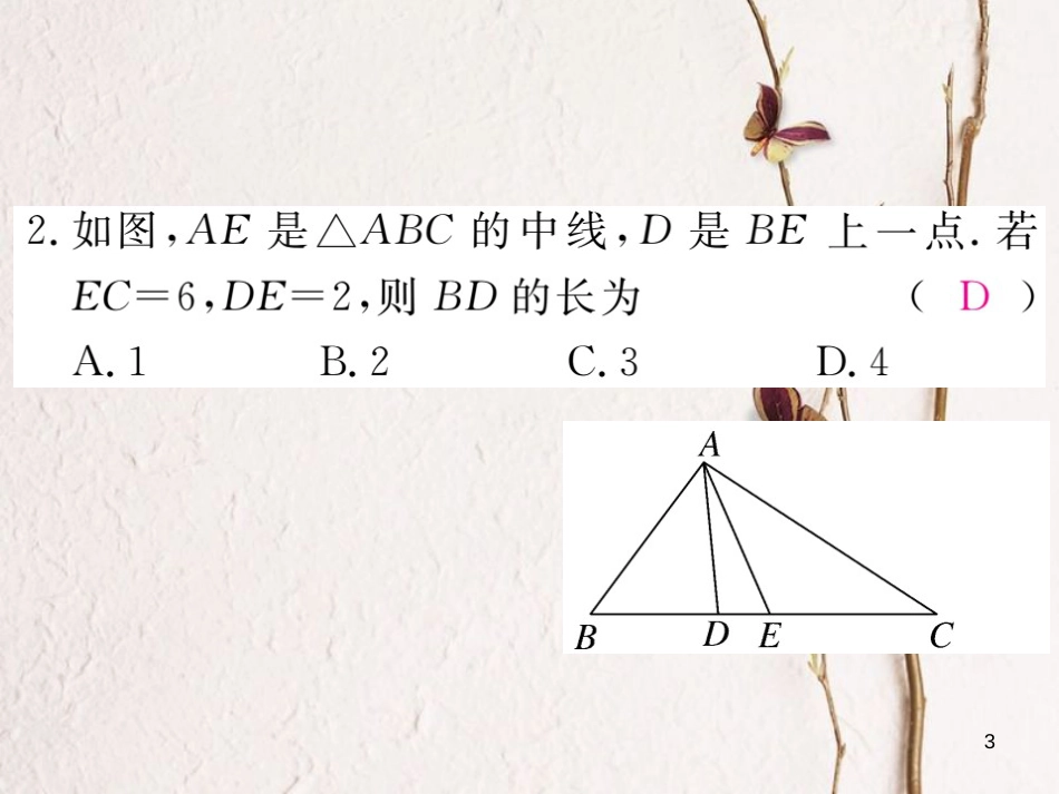 七年级数学下册 第四章 三角形热点专练练习课件 （新版）北师大版_第3页