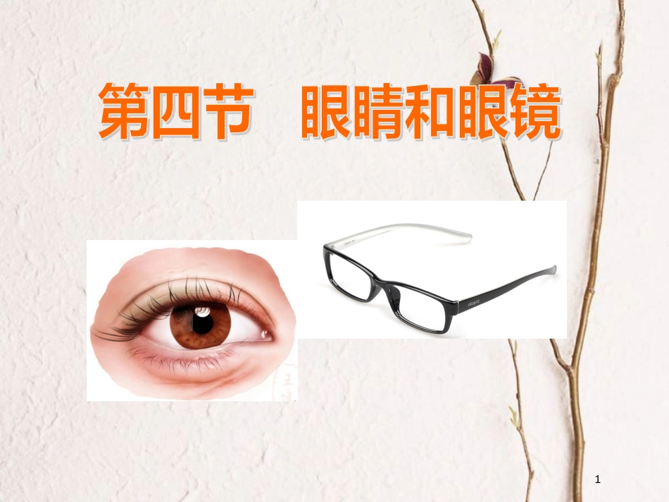 八年级物理上册 4.4《眼睛和眼镜》课件1 鲁教版五四制_第1页