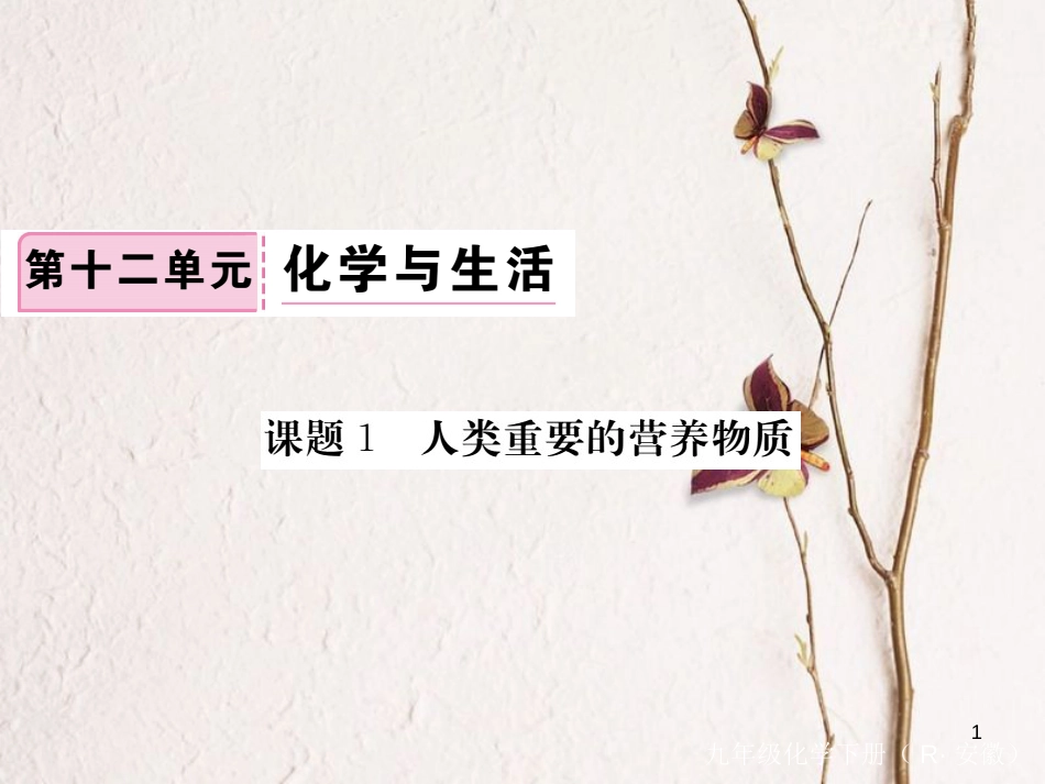 （安徽专版）九年级化学下册 12.1 人类重要的营养物质练习课件 （新版）新人教版_第1页