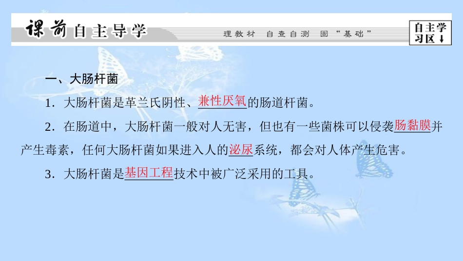 高中生物 第1部分 微生物的利用 实验1 大肠杆菌的培养和分离课件 浙科版选修1_第3页