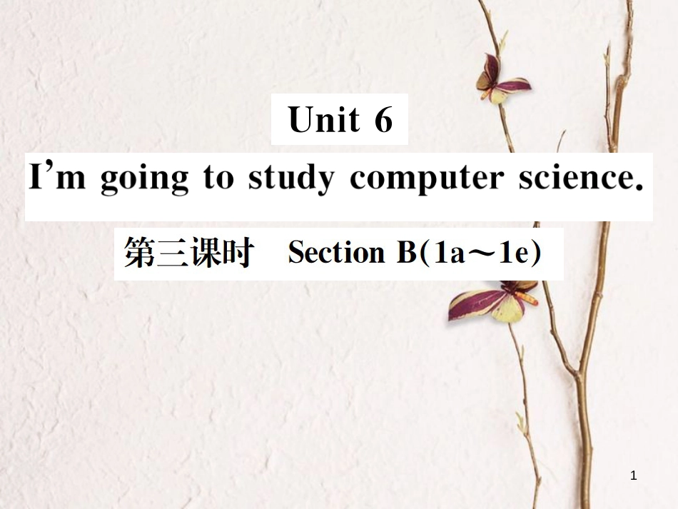 八年级英语上册 Unit 6 I’m going to study computer science（第3课时）习题课件 （新版）人教新目标版_第1页
