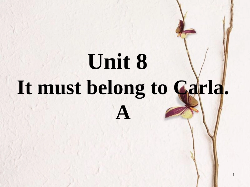 九年级英语全册 口头表达专练 Unit 8 It must belong to Carla A课件 （新版）人教新目标版_第1页