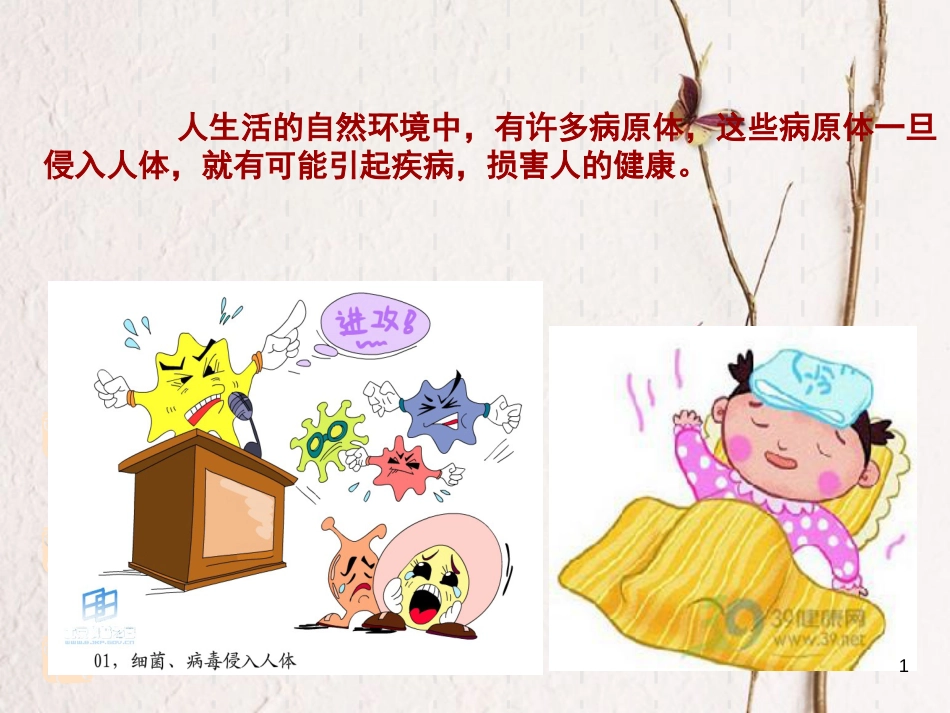 湖南省茶陵县高中生物 第二章 动物和人体生命活动的调节 2.4 免疫调节1课件 新人教版必修3_第1页