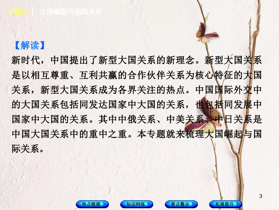 湖南省2018年中考历史复习 专题突破 专题五 大国崛起与国际关系课件_第3页