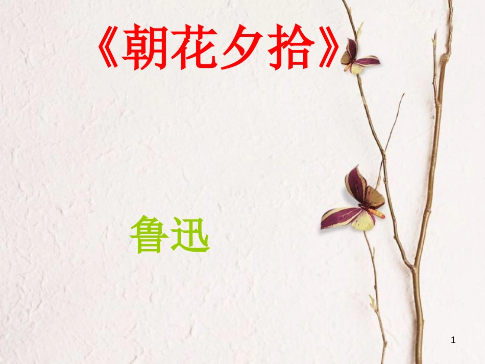 七年级语文上册 名著导读《朝花夕拾》课件 新人教版_第1页