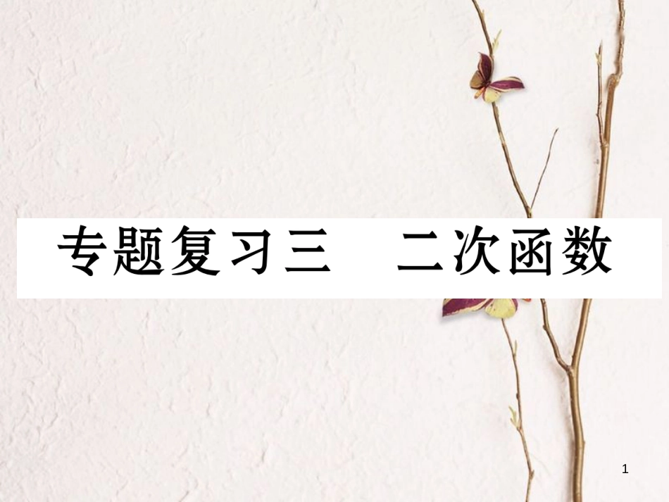 九年级数学下册 期末专题复习 专题复习3 二次函数作业课件 （新版）新人教版_第1页