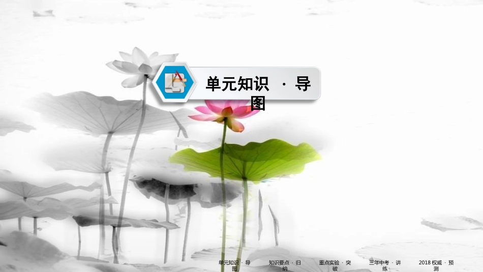 中考化学 第一部分 教材同步复习 第11单元 课件_第2页